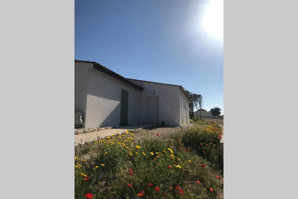 Bonifacio 3Mn Du Port! Villa Piscine Chauffee ,Clim,Wifi Bagian luar foto